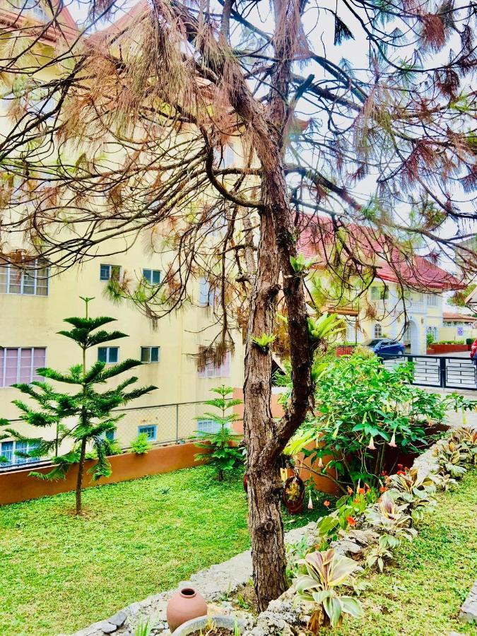 Elliannah Pines Hotel Baguio City Ngoại thất bức ảnh